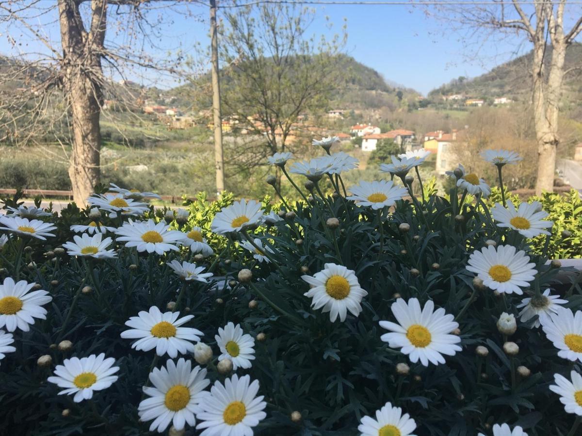 Belvedere Resort Ai Colli Galzignano Terme Bagian luar foto