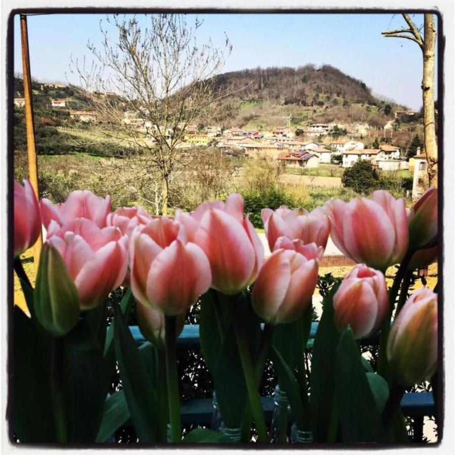 Belvedere Resort Ai Colli Galzignano Terme Bagian luar foto